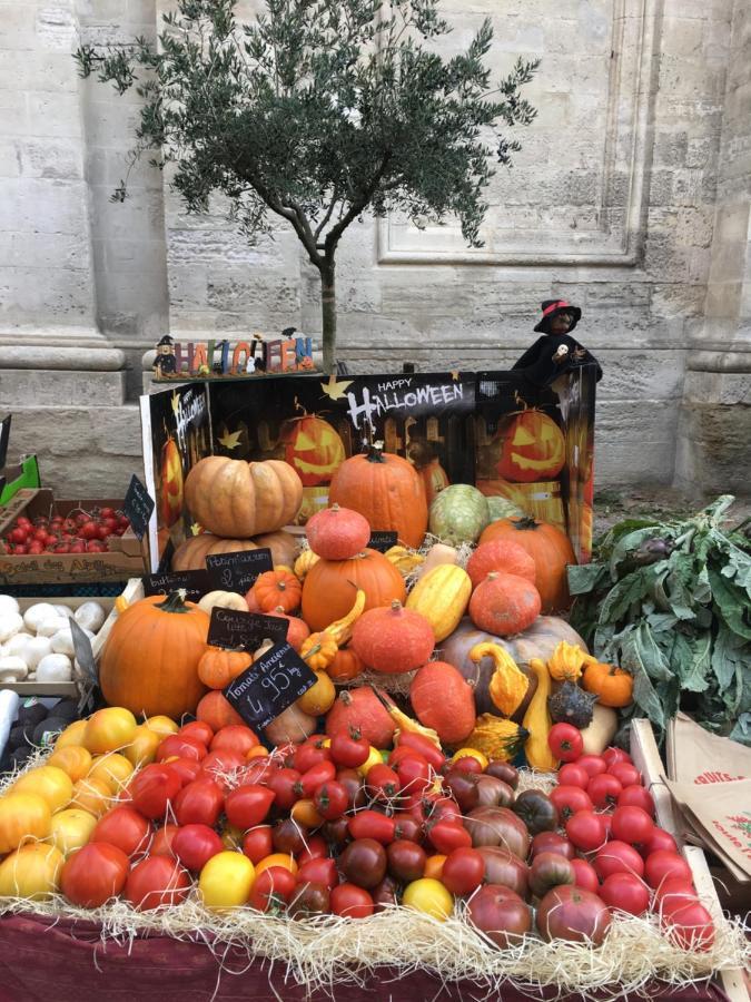 Un Coin De Luberon Apartamento LʼIsle-sur-la-Sorgue Exterior foto