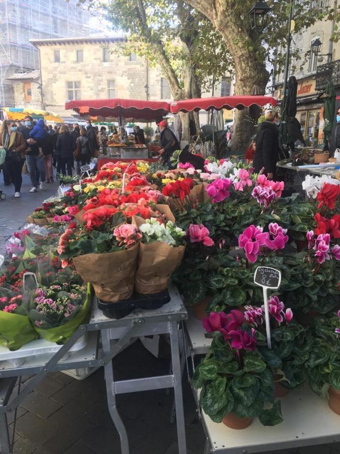 Un Coin De Luberon Apartamento LʼIsle-sur-la-Sorgue Exterior foto